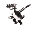 Dragon Canelloni (1.8B/s)